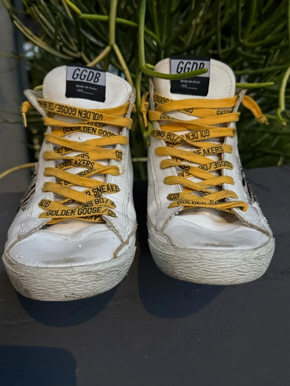 Golden Goose Leather Francy Penstar Hi-Top Sneakers (White, W-38EU/8US)